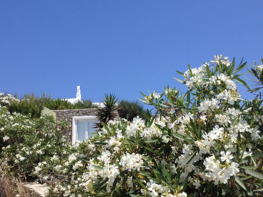 Mykonos Love Nest Ano Mera Cameră foto